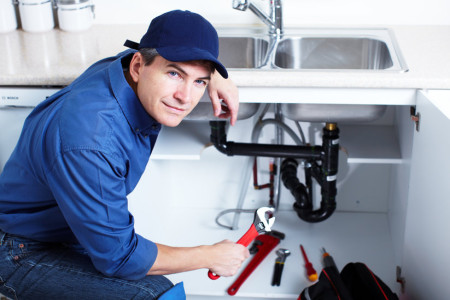 Work with a Professional plumber