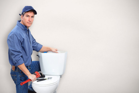 Best Plumbing option repairing toilet